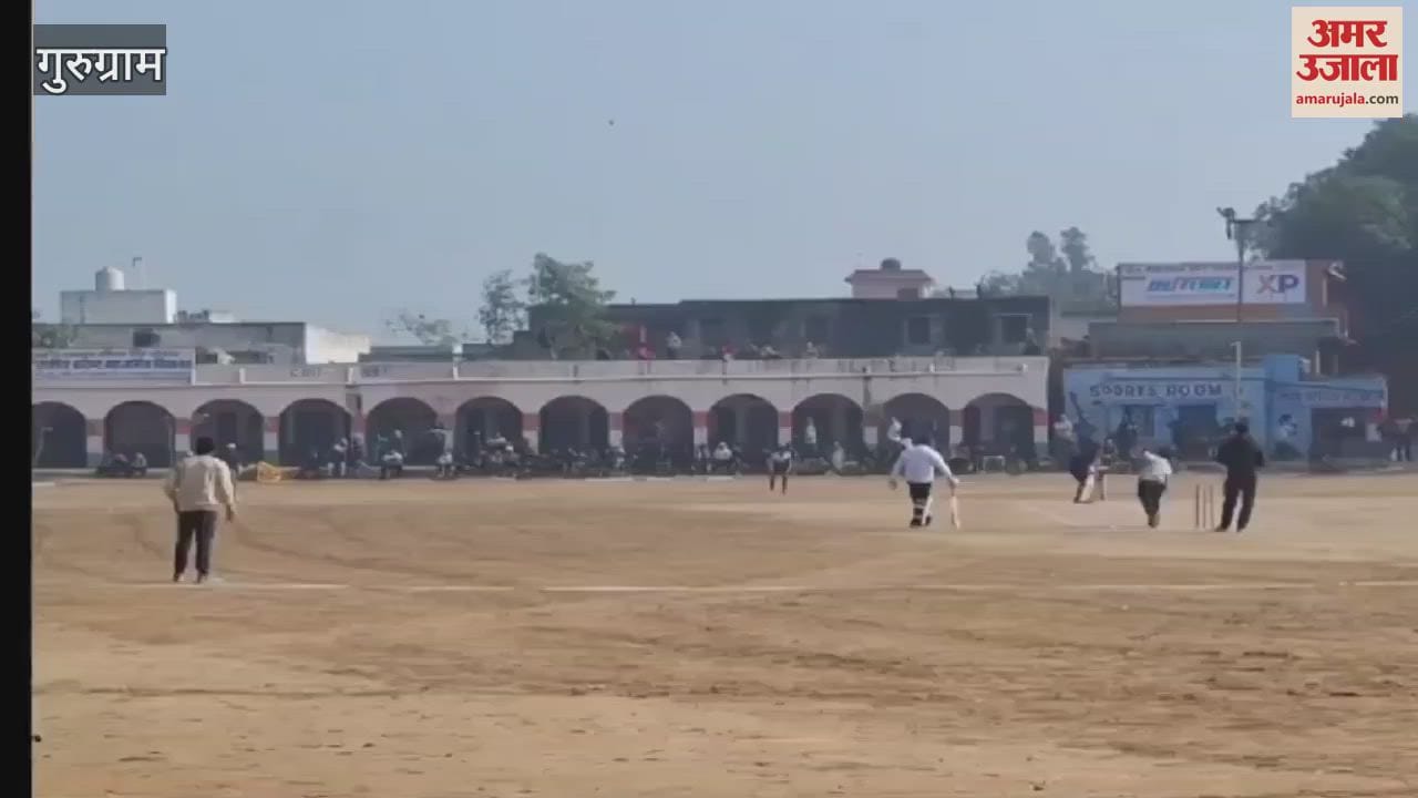 VIDEO : 10 day cricket competition organized in Pataudi