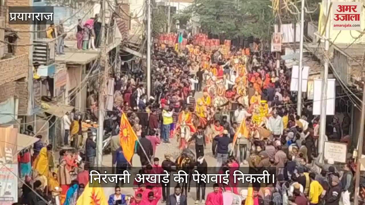 VIDEO : Different form of sadhus and saints seen in the Peshwai of Niranjani Akhara