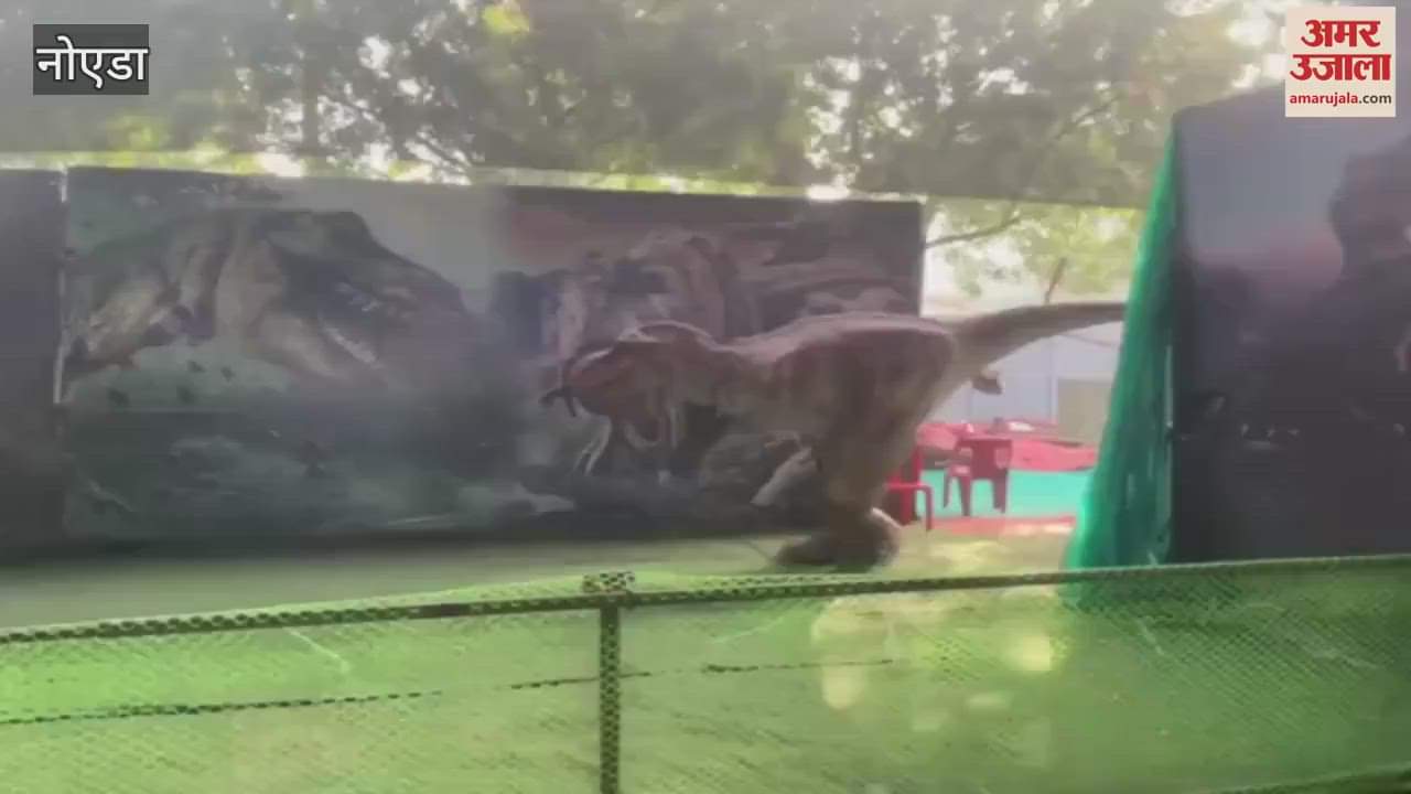 VIDEO : People enjoying snowfall at Snow Hearts in Noida