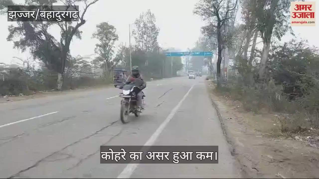 VIDEO : झज्जर में कोहरे से राहत, तापमान गिरने से बढ़ी ठंड