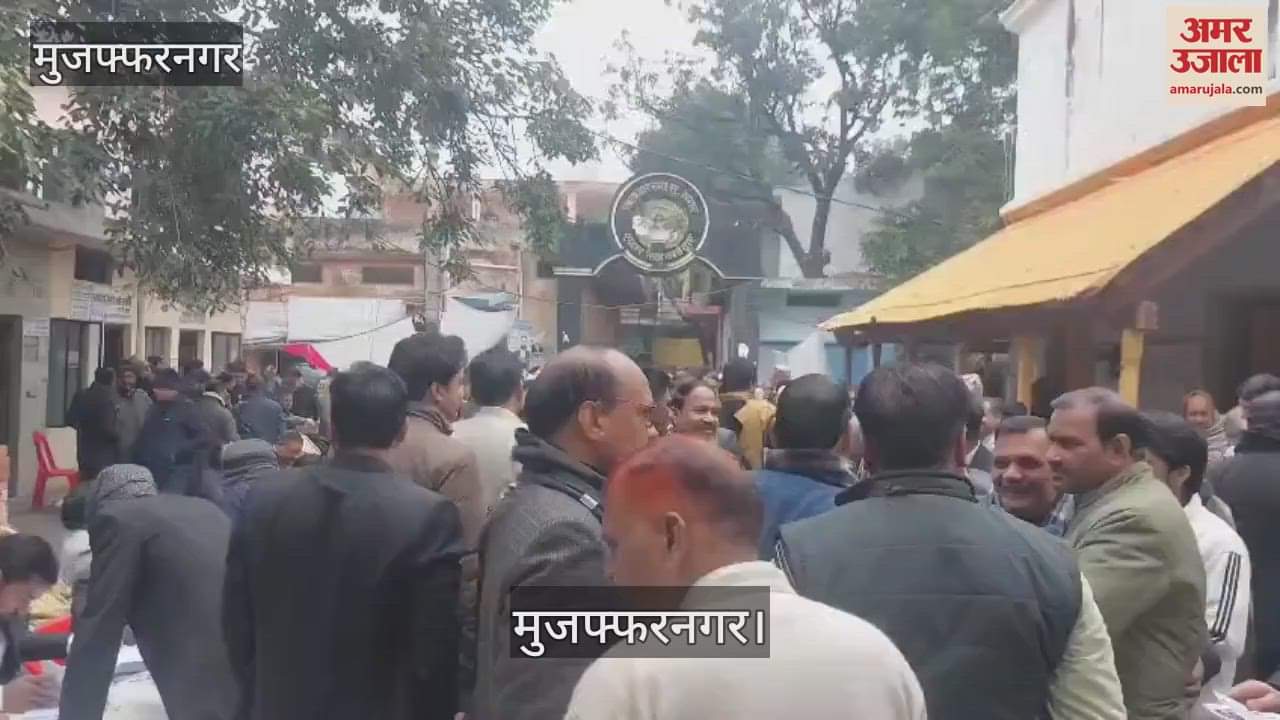 VIDEO : Voting continues for Muzaffarnagar District Bar Association elections, enthusiasm among advocates