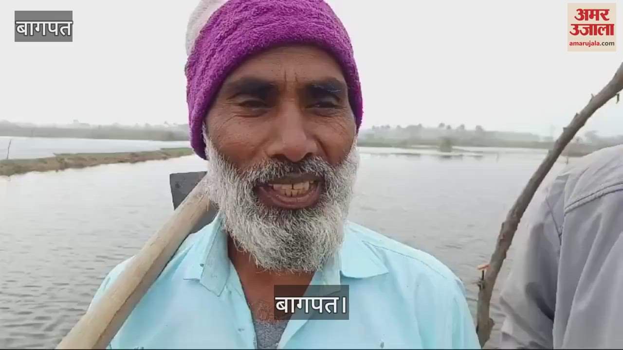 VIDEO : water level of Hindon river increased in Baghpat, increasing problems for farmers, 400 bighas of wheat and vegetable crops destroyed