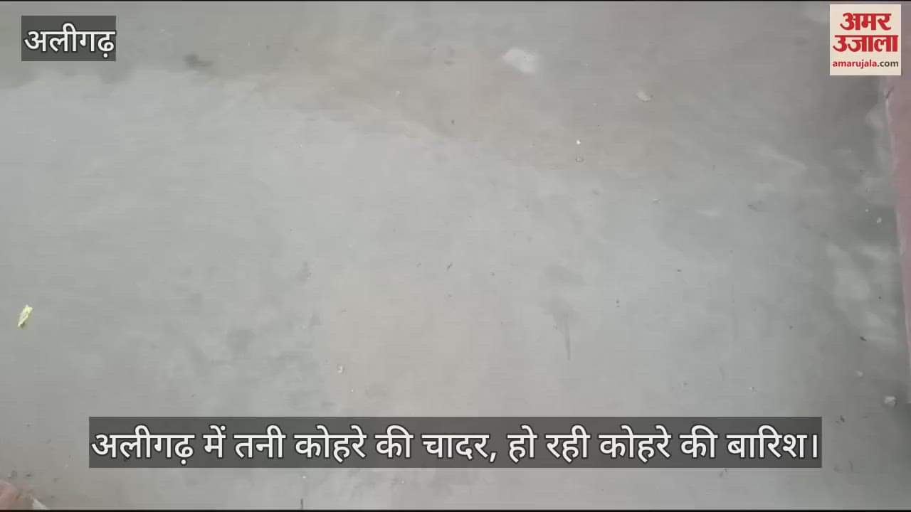 VIDEO : अलीगढ़ में तनी कोहरे की चादर, हो रही कोहरे की बारिश