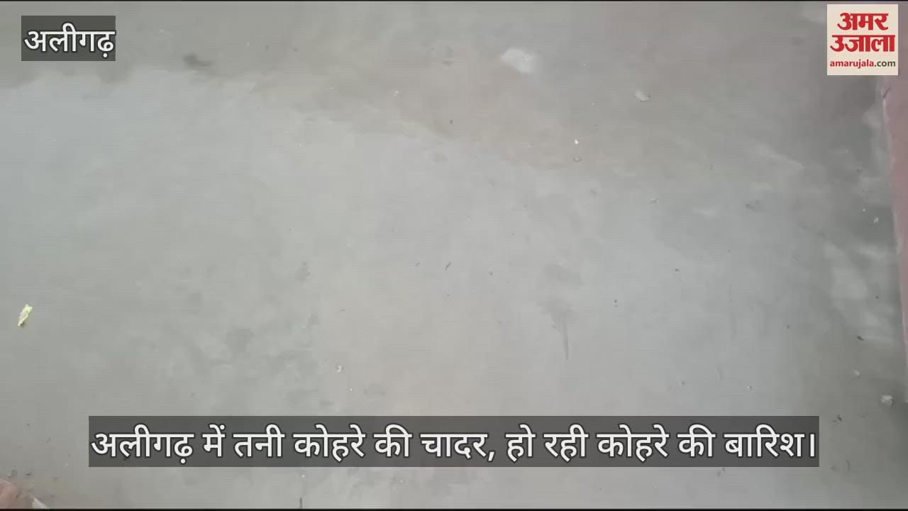 VIDEO : अलीगढ़ में तनी कोहरे की चादर, हो रही कोहरे की बारिश