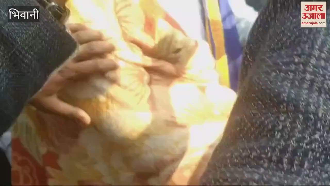 VIDEO : Bheem Army reached Bhiwani's Fartia Bhima to investigate the student suicide case