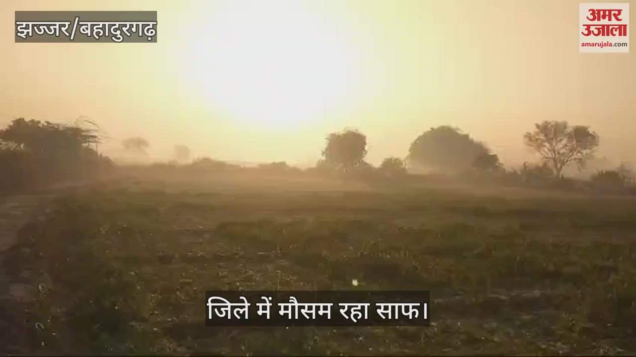 VIDEO : Jhajjar gets sunny for the second consecutive day, relief from fog