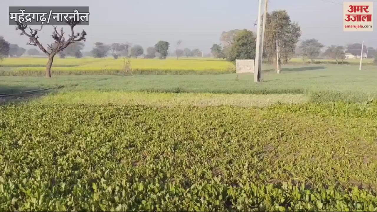 VIDEO : Temperature fluctuations in Mahendragarh, weather likely to change from Saturday