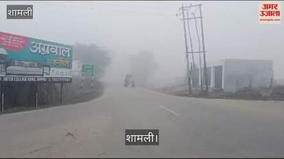 VIDEO : People were troubled due to dense fog and cold wave in Shamli
