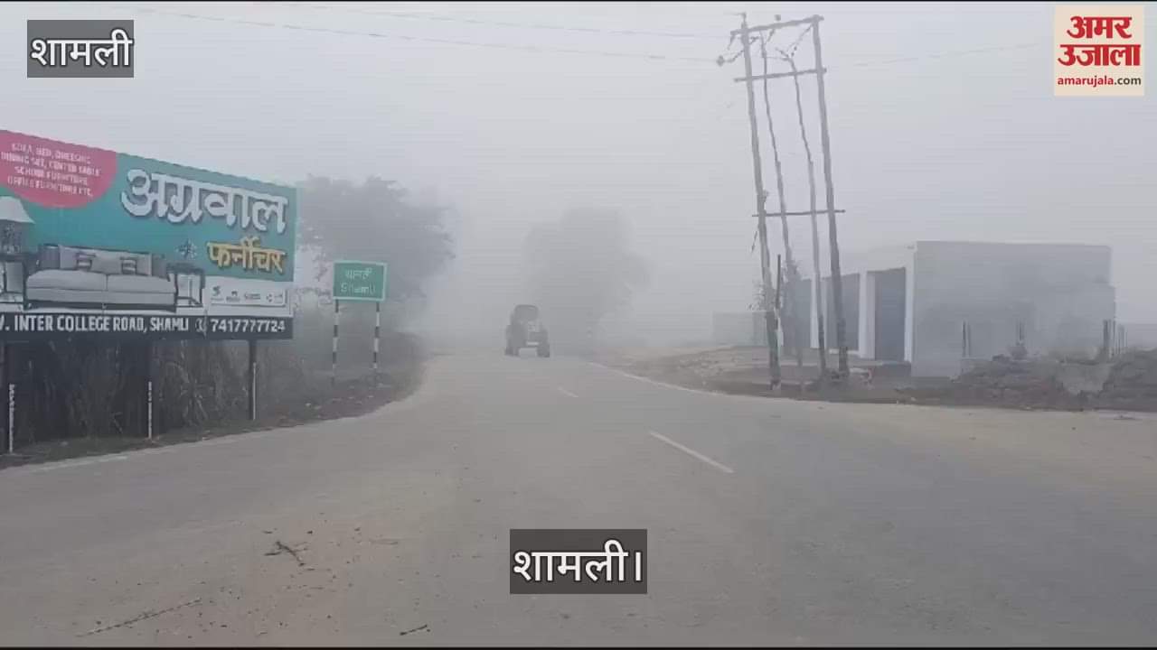 VIDEO : People were troubled due to dense fog and cold wave in Shamli