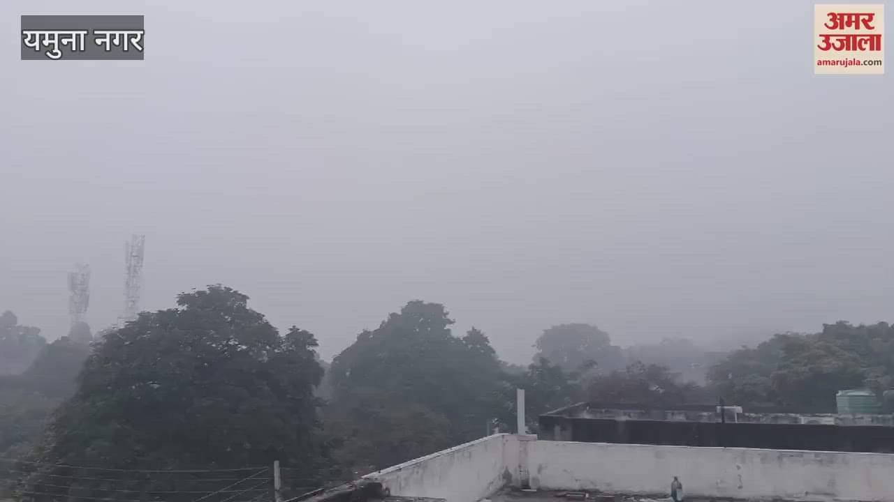 VIDEO : Dense fog in Yamunanagar, cold increased the charm of the market