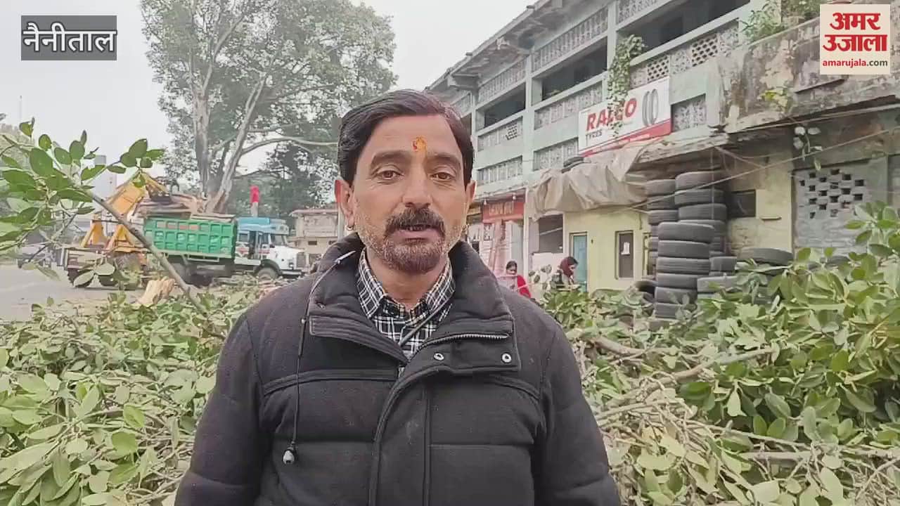 VIDEO : हल्द्वानी के रामपुर रोड़ पर सड़क चौड़ीकरण के नाम पर पेड़ों का काटा