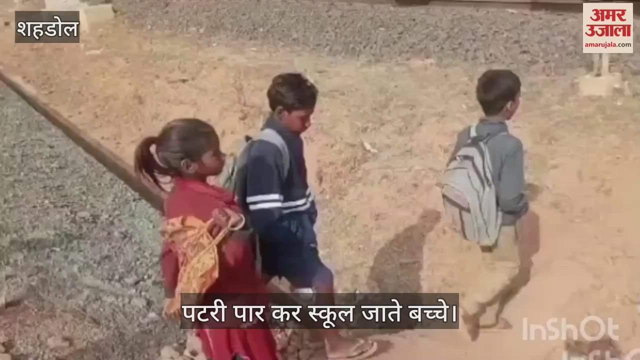 Shahdol News Children forced to go to school risking their lives case of Byahari video surfaced