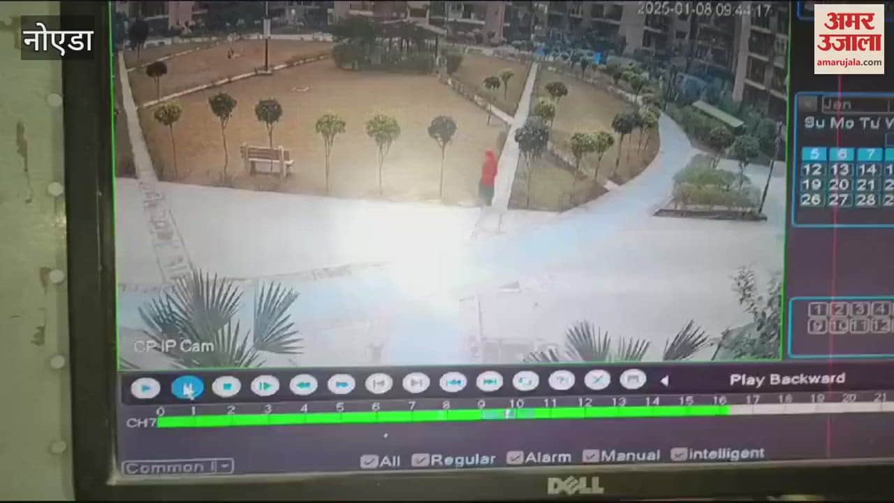 VIDEO : Dogs attack woman in La Residencia Society, Greno West