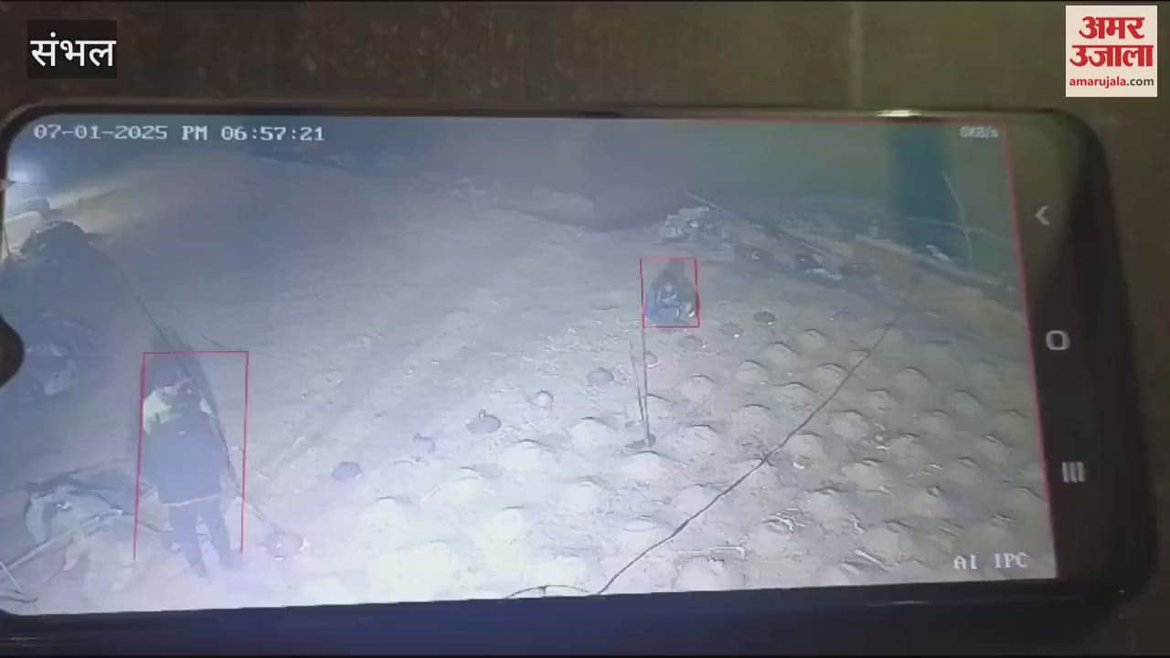 VIDEO : Labourer jumped into brick kiln, his bones came out, his partner got burnt while trying to save him