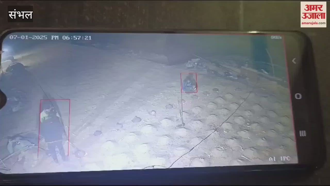 VIDEO : Labourer jumped into brick kiln, his bones came out, his partner got burnt while trying to save him
