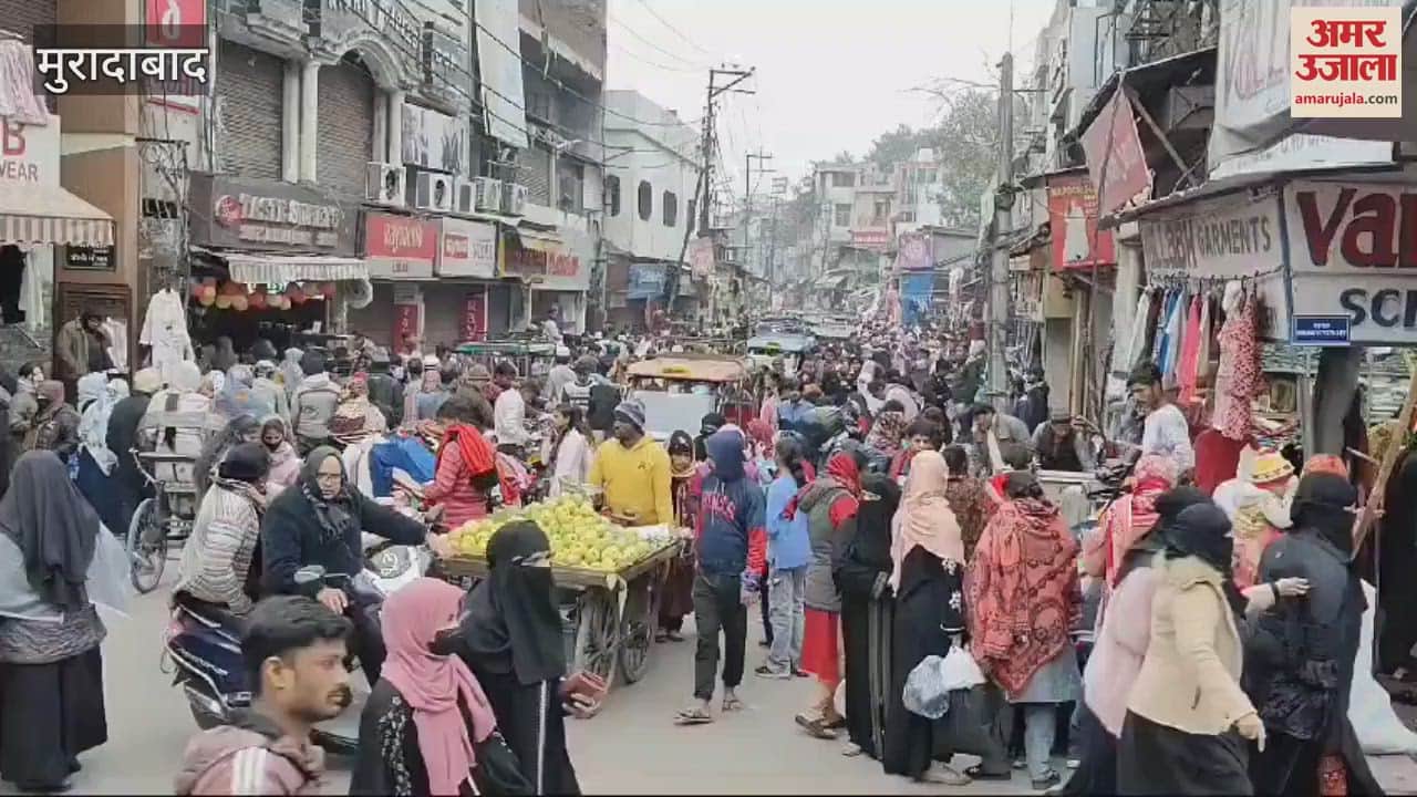 VIDEO : Sun came out but there is no relief from cold, life affected in Moradabad