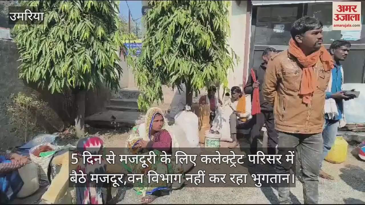 Workers sitting in Collectorate premises for 5 days for wages Forest Department is not paying