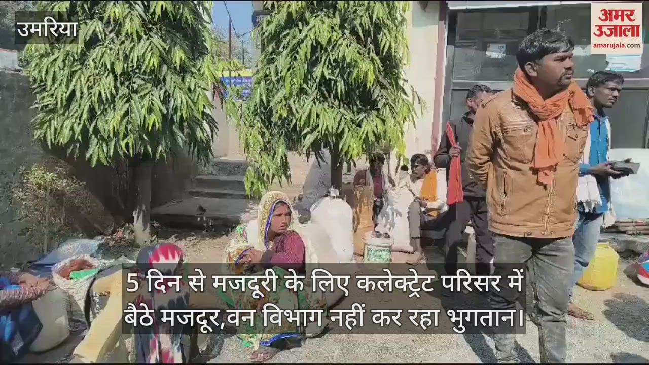 Workers sitting in Collectorate premises for 5 days for wages Forest Department is not paying