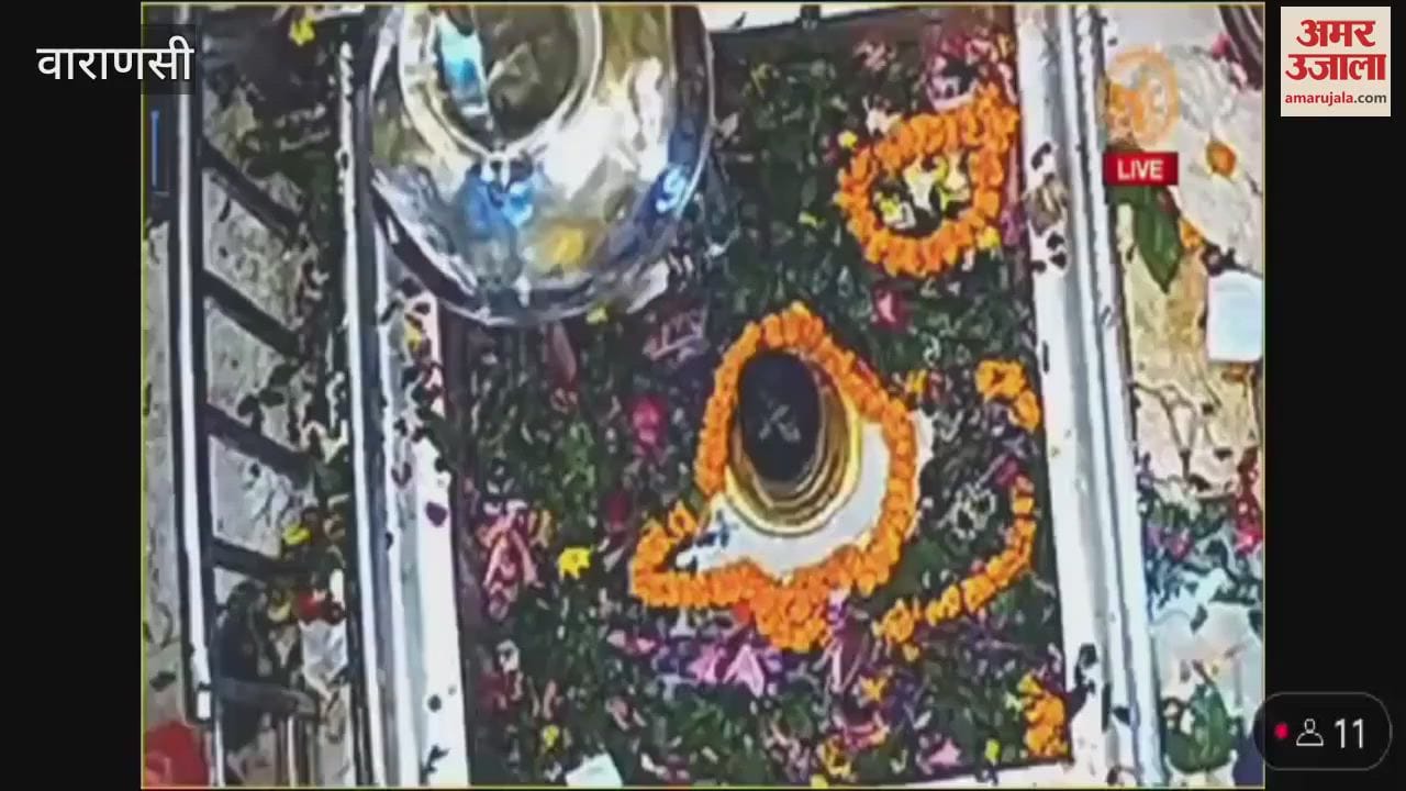 VIDEO : Woman falls urn of Kashi Vishwanath temple sanctum sanctorum video viral