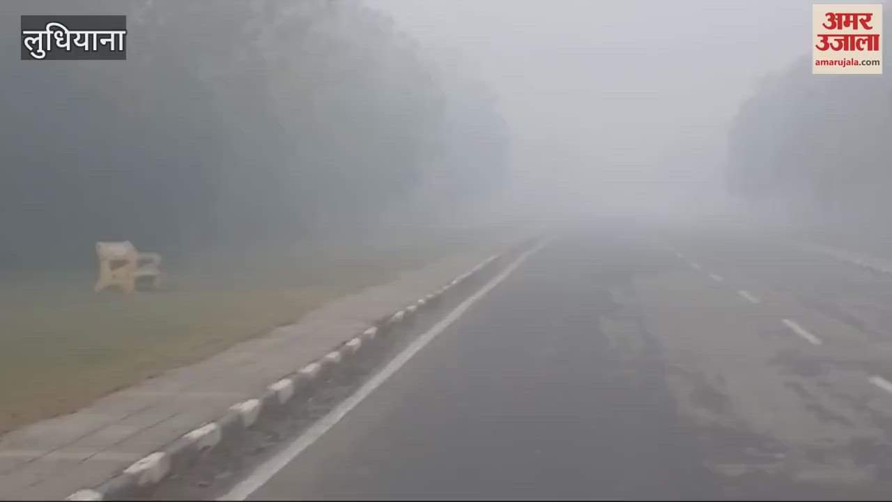 VIDEO : Visibility reduced due to dense fog in Ludhiana