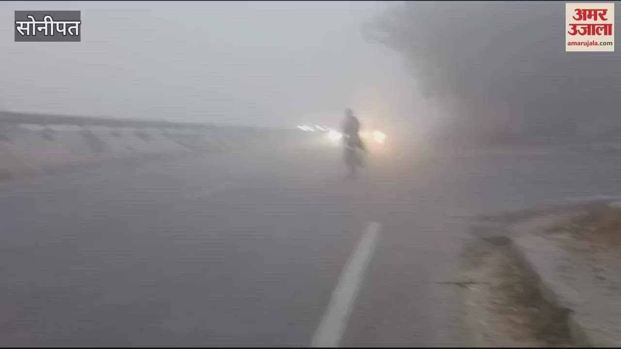 VIDEO : Fog in Sonipat