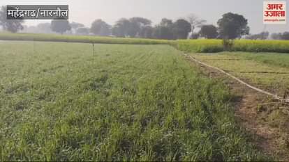 VIDEO : Weather Update of Mahendrgarh