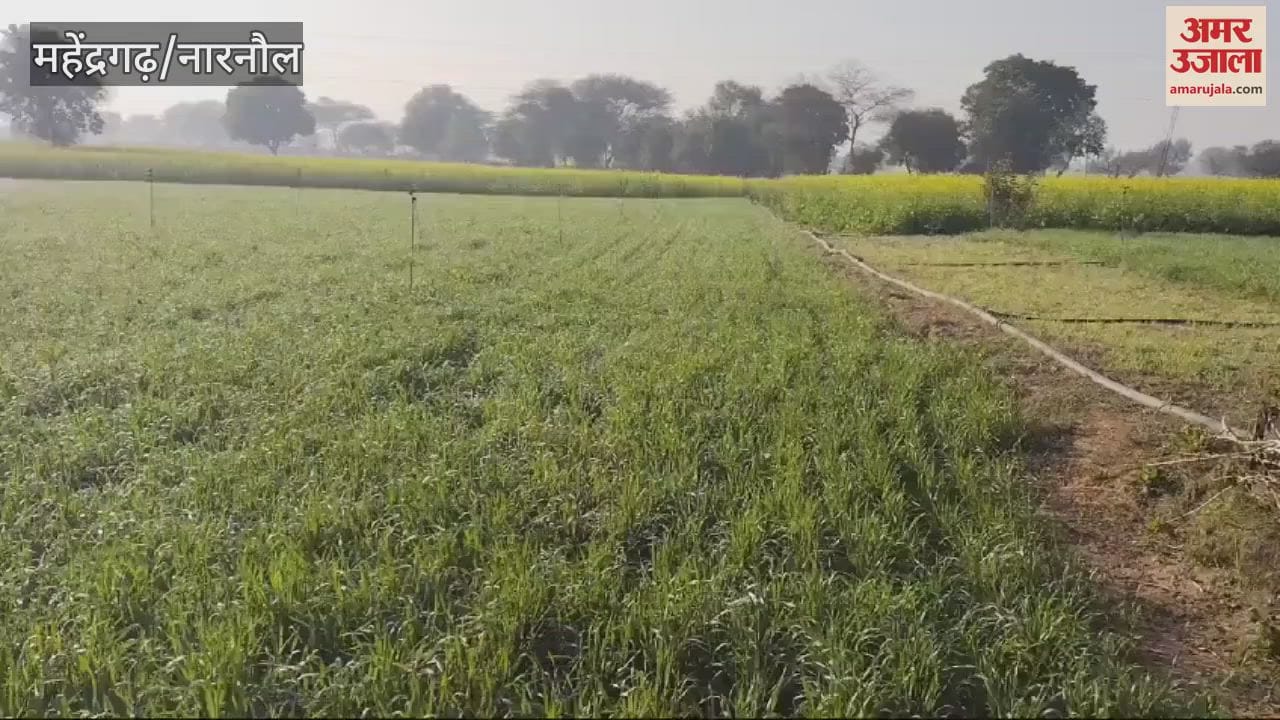 VIDEO : Weather Update of Mahendrgarh