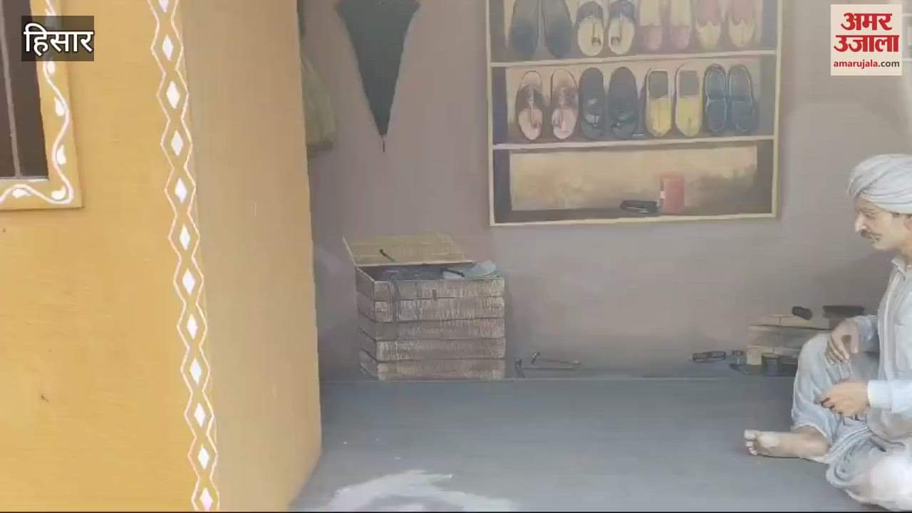 VIDEO : Agro tourism center ready in Hisar's HAU, preparations for inauguration by CM