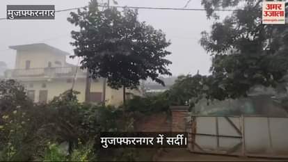 VIDEO : People shivered due to cold wave in Muzaffarnagar, got relief when the sun shone in the afternoon