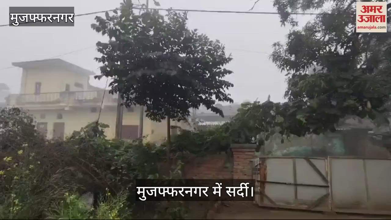 VIDEO : People shivered due to cold wave in Muzaffarnagar, got relief when the sun shone in the afternoon