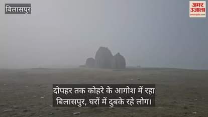 VIDEO : Bilaspur remained engulfed in fog till afternoon, people remained confined to their homes