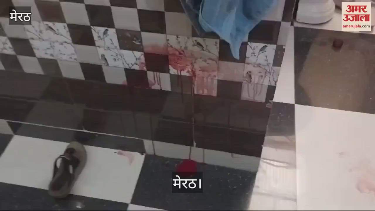 VIDEO : Elderly woman shot dead in Meerut, this reason for the murder came to light