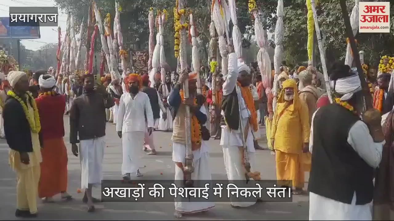 VIDEO : Saints danced vigorously in the Peshwai of Ani Akharas, crowd gathered to watch