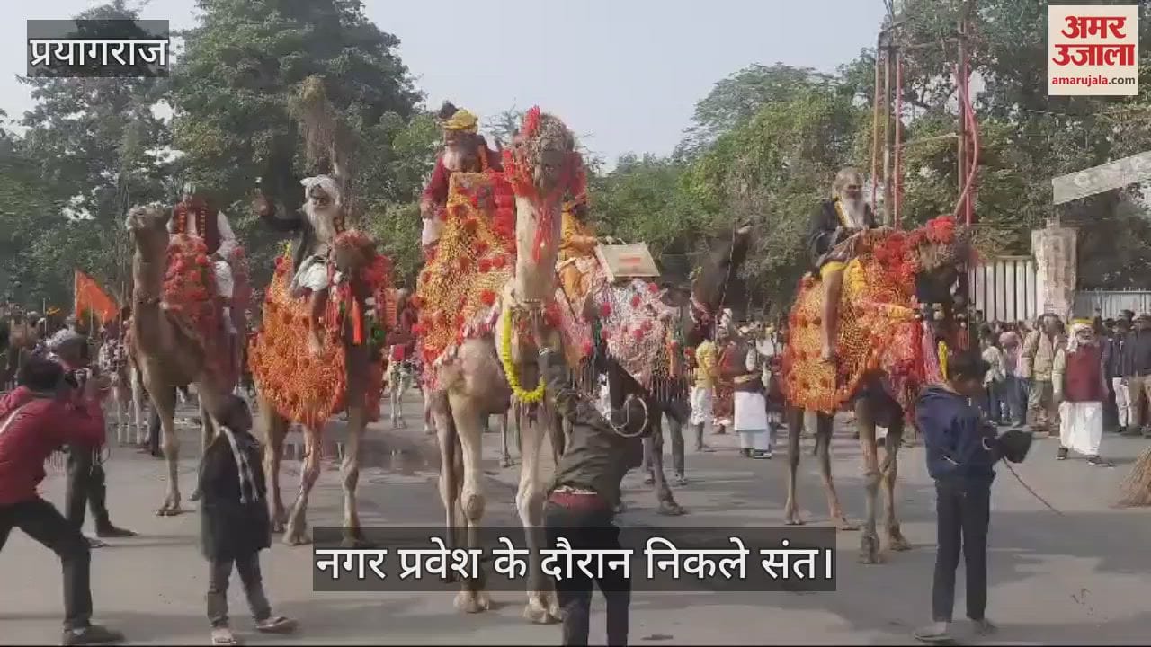 VIDEO : In the Mahakumbh, the grandeur of the saints is visible at the entry of the Akharas into the city, the cantonments arriving with bands and elephants and horses.