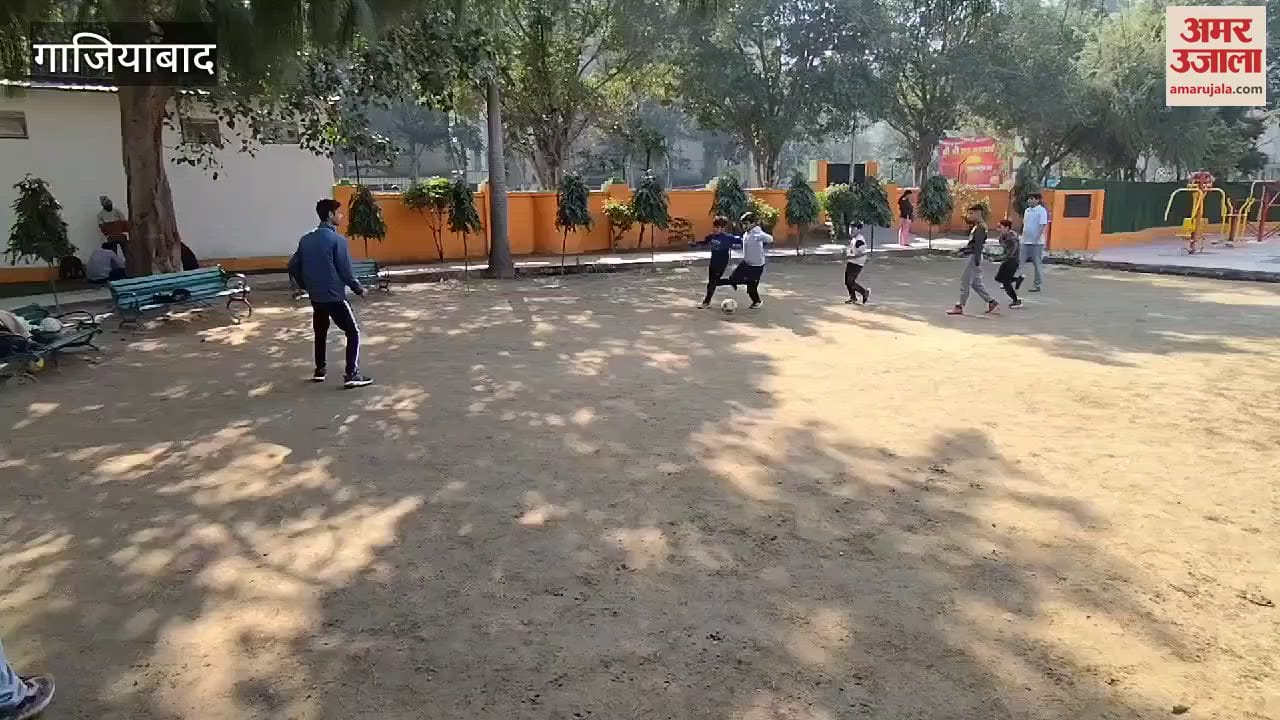 VIDEO : After sunshine in Ghaziabad parks and grounds returned to their glory