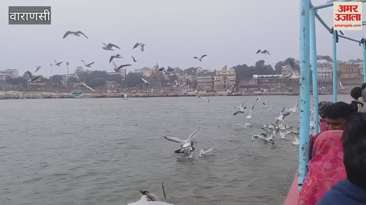 VIDEO : competition take selfies migratory birds in varanasi videos made waves of Ganga