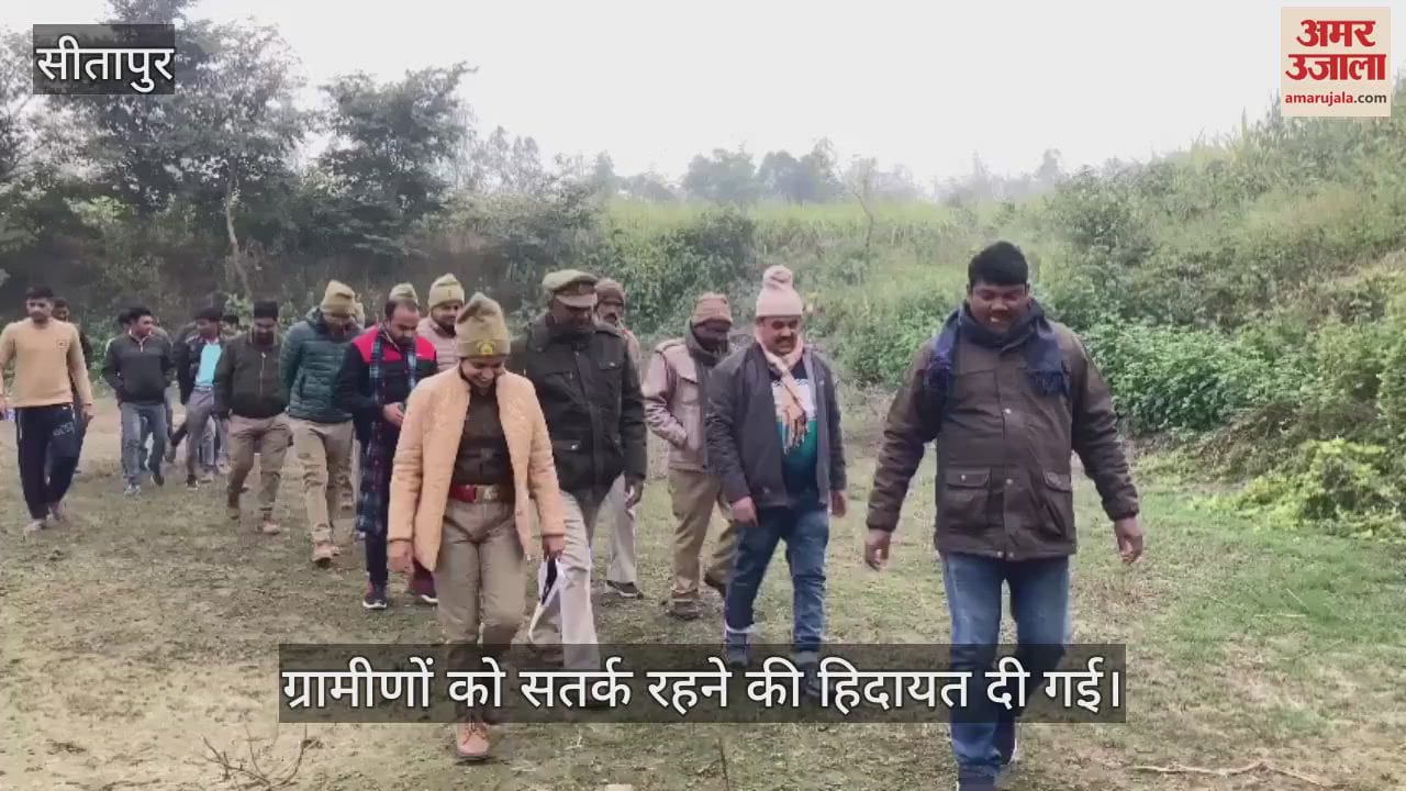 VIDEO : Sitapur: बिशुनपुर में बाघ ने कुत्ते पर किया हमला, ताजा पगचिन्हों की होगी मैपिंग, दहशत का माहौल