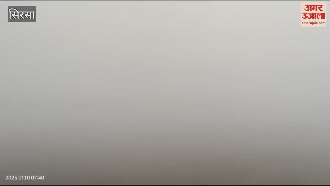 VIDEO : Fog in sirsa