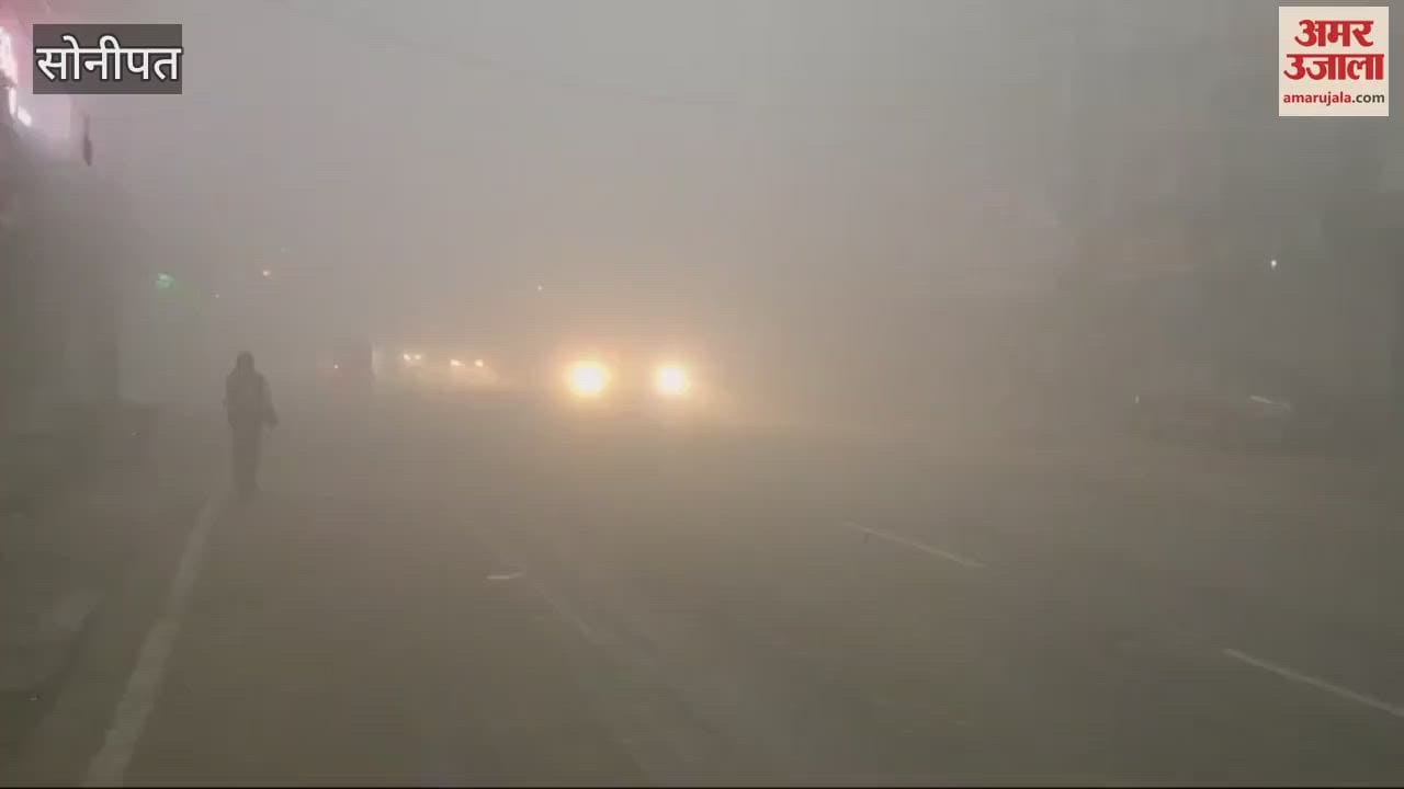 VIDEO : fog in sonipat