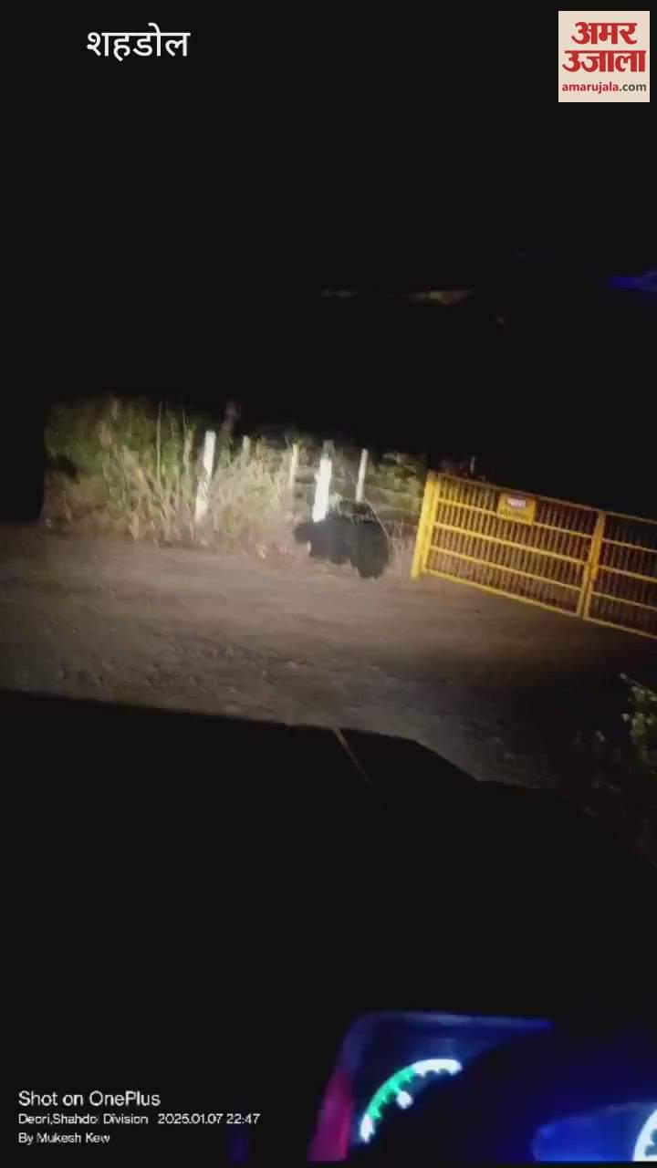 After the tiger, the bear attacked, coal management issued advisory for the employees