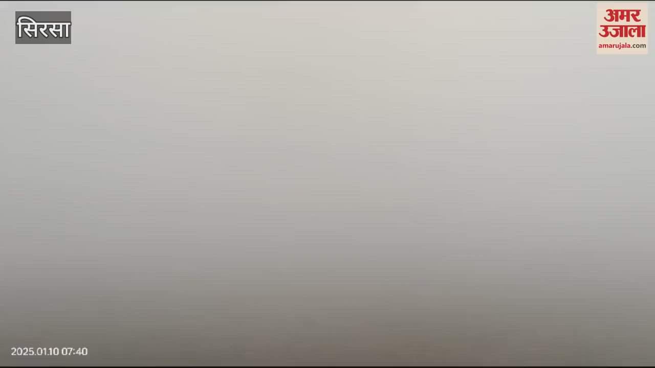 VIDEO : After four days of clear weather in Sirsa, fog prevailed in the morning