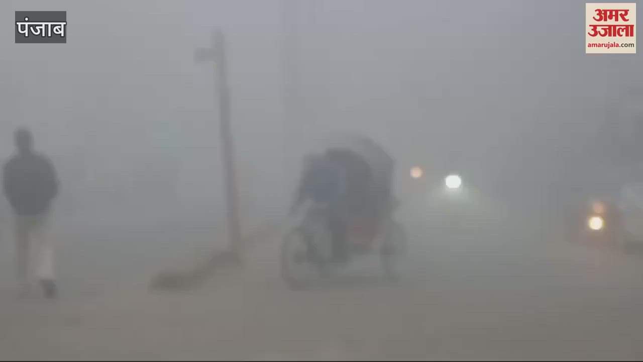 VIDEO : Fog in Moga