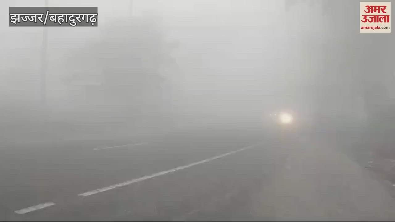 VIDEO : Dense fog in Jhajjar on Friday, visibility zero