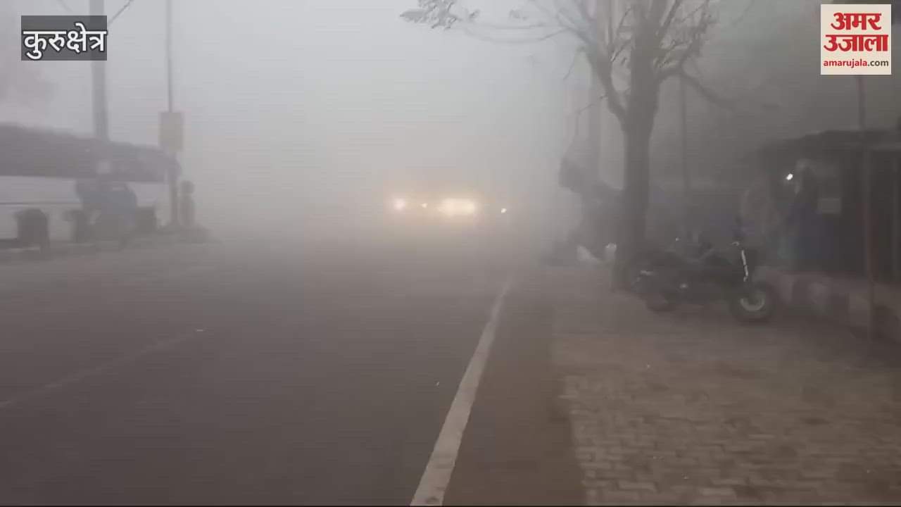 VIDEO : Heavy fog and cold wave in Kurukshetra affect life