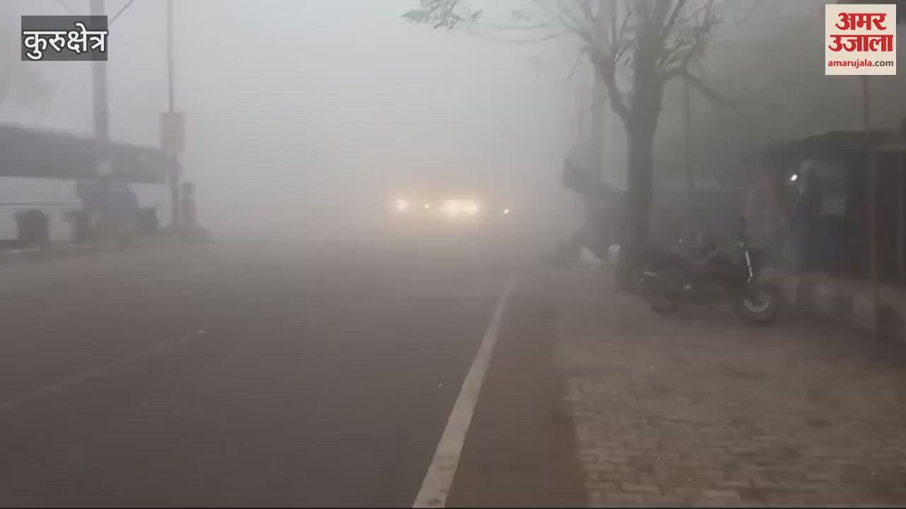 VIDEO : Heavy fog and cold wave in Kurukshetra affect life