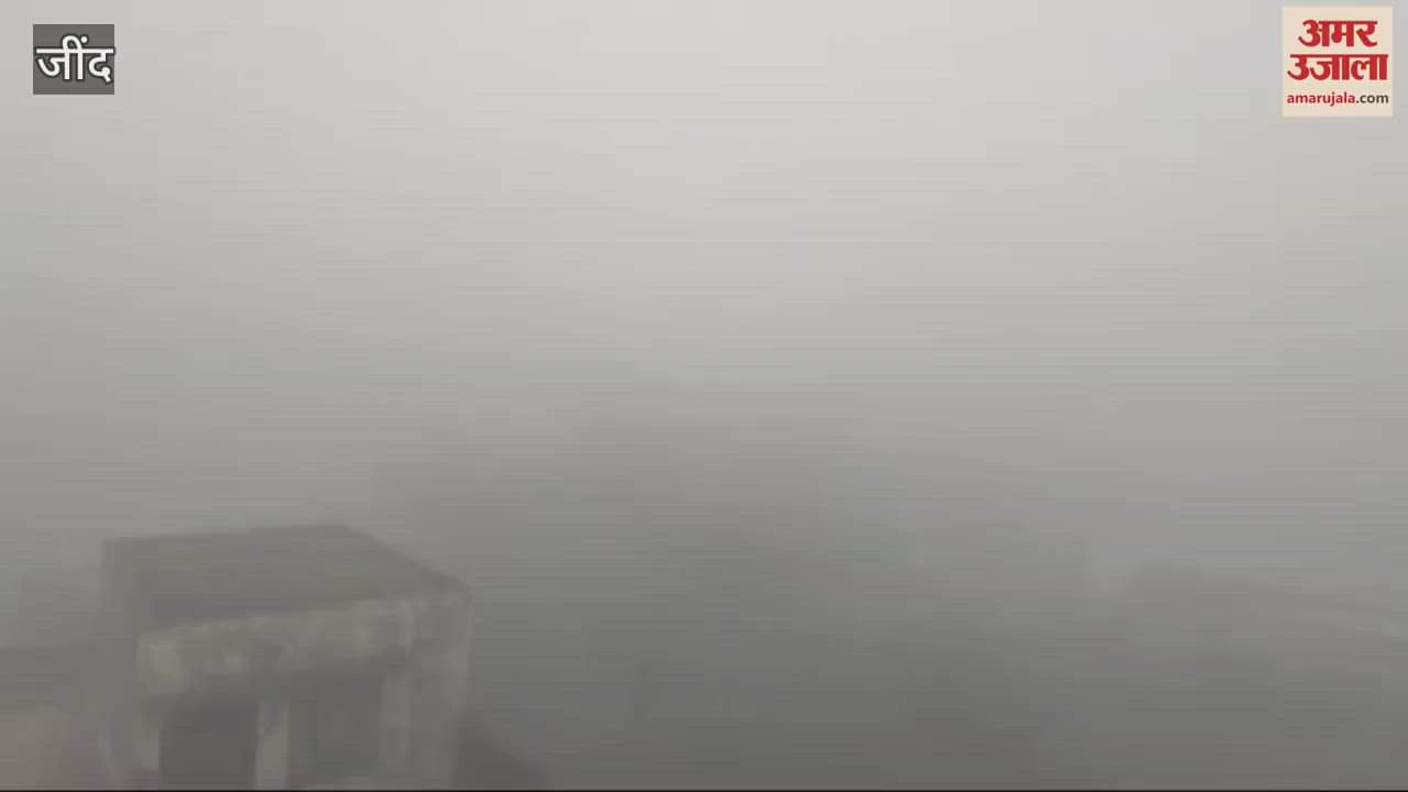 VIDEO : After four days, fog again blocked the way in Jind, no relief from cold expected