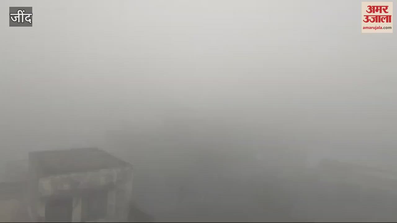 VIDEO : After four days, fog again blocked the way in Jind, no relief from cold expected