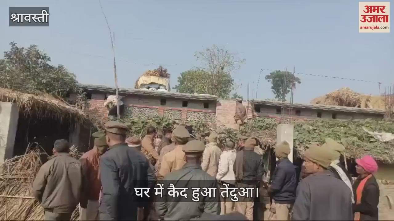 VIDEO : श्रावस्ती: घर में कैद हुआ तेंदुआ, वन विभाग और पुलिस टीम मौजूद