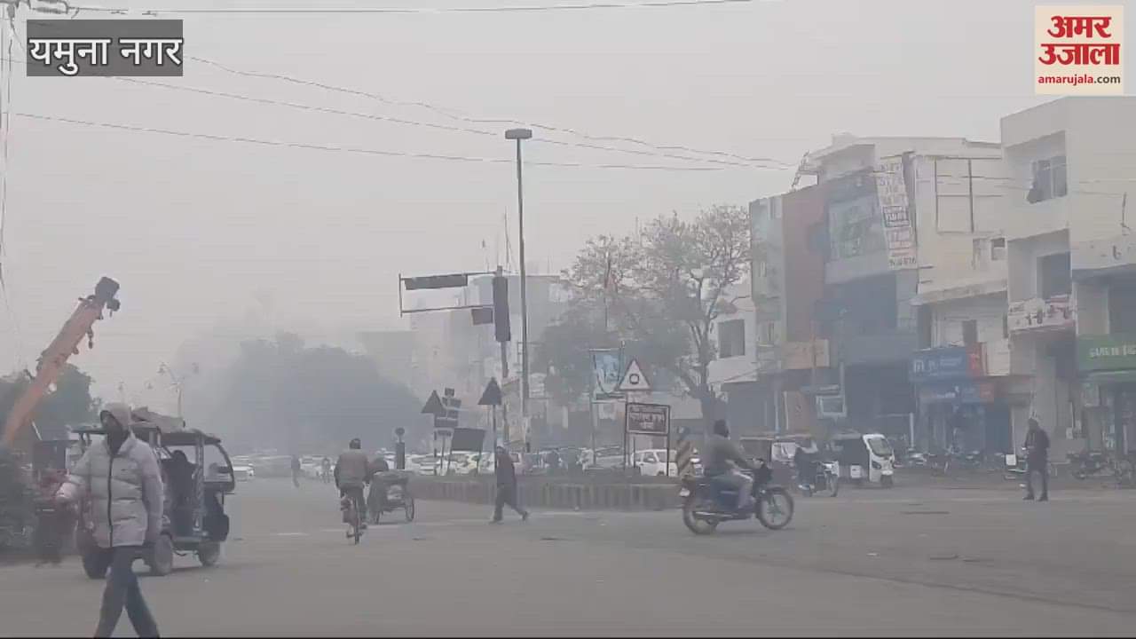 VIDEO : Yamunanagar wrapped in white sheet, visibility on national highway is 10 meters