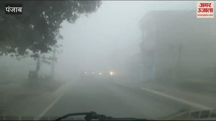 Video : Fog In Hoshiarpur – Amar Ujala Hindi News Live